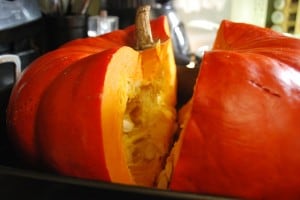 half baked harvest pumpkin